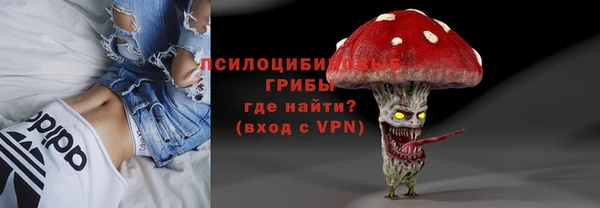 стафф Арсеньев