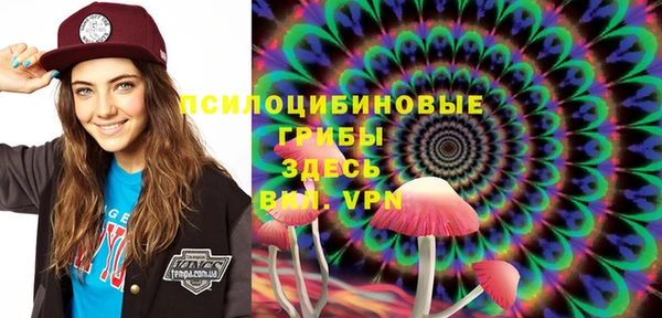стафф Арсеньев