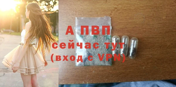 стафф Арсеньев